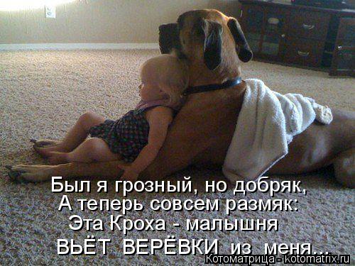 Был я грозный, но добряк, Был я грозный, но добряк, ВЬЁТ ВЕРЁВКИ из меня... Эта Кроха - малышня А... Котоматрица: Был я грозный, но добряк, Был я грозный, но добряк, ВЬЁТ ВЕРЁВКИ из меня... Эта Кроха - малышня А теперь совсем размяк: