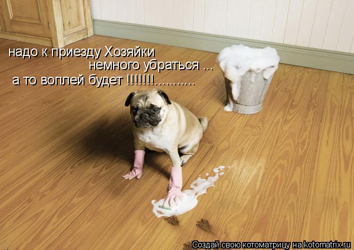 надо к приезду Хозяйки немного убраться ... а то воплей будет !!!!!!!.............. Котоматрица: надо к приезду Хозяйки немного убраться ... а то воплей будет !!!!!!!...........
