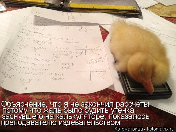 Котоматрица: Объяснение, что я не закончил рассчеты потому что жаль было будить утенка, заснувшего на калькуляторе, показалось преподавателю издевател