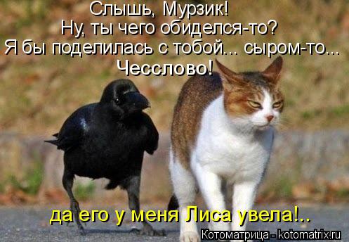 Котоматрица: Слышь, Мурзик! Ну, ты чего обиделся-то? Чесслово! да его у меня Лиса увела!..  Я бы поделилась с тобой... сыром-то...