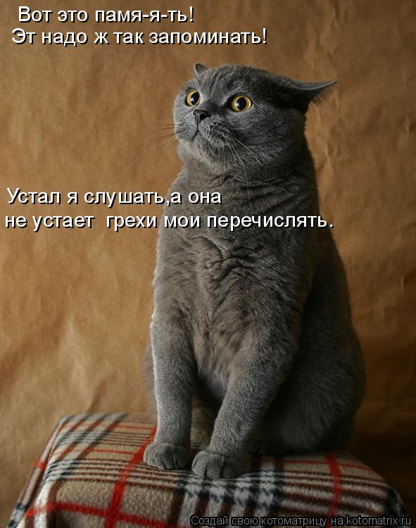 Котоматрица: Вот это памя-я-ть! Эт надо ж так запоминать! Устал я слушать,а она не устает  грехи мои перечислять.