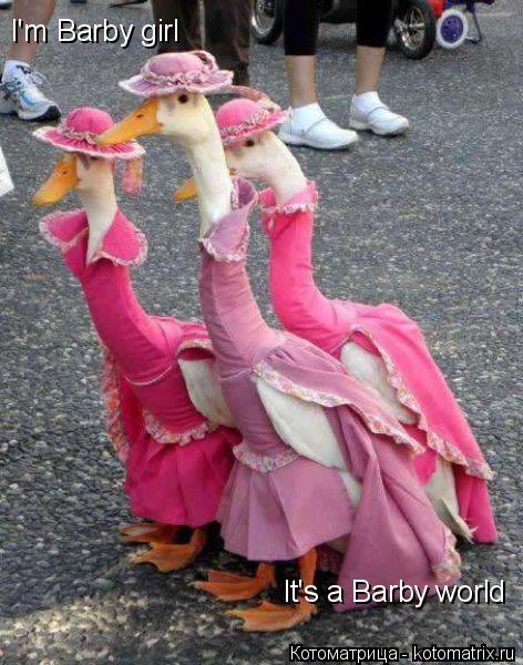 Котоматрица: I'm Barby girl It's a Barby world