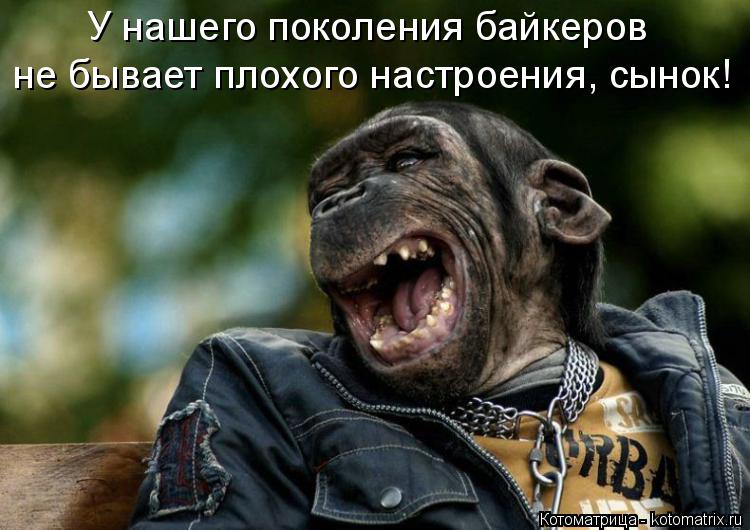 Котоматрица: У нашего поколения байкеров не бывает плохого настроения, сынок!