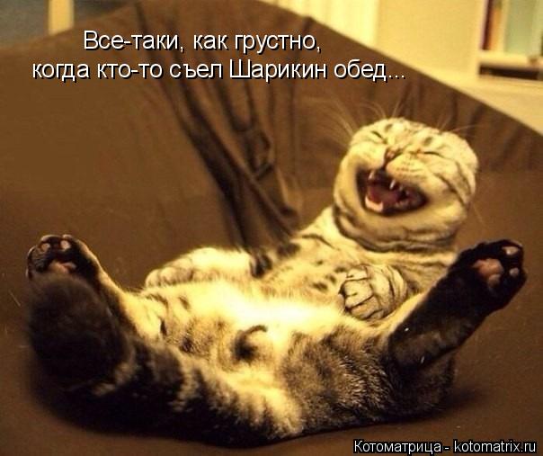 Все-таки, как грустно, когда кто-то съел Шарикин обед...... Котоматрица: Все-таки, как грустно, когда кто-то съел Шарикин обед...