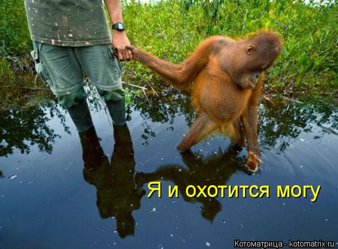 Я и охотится могу... Котоматрица: Я и охотится могу