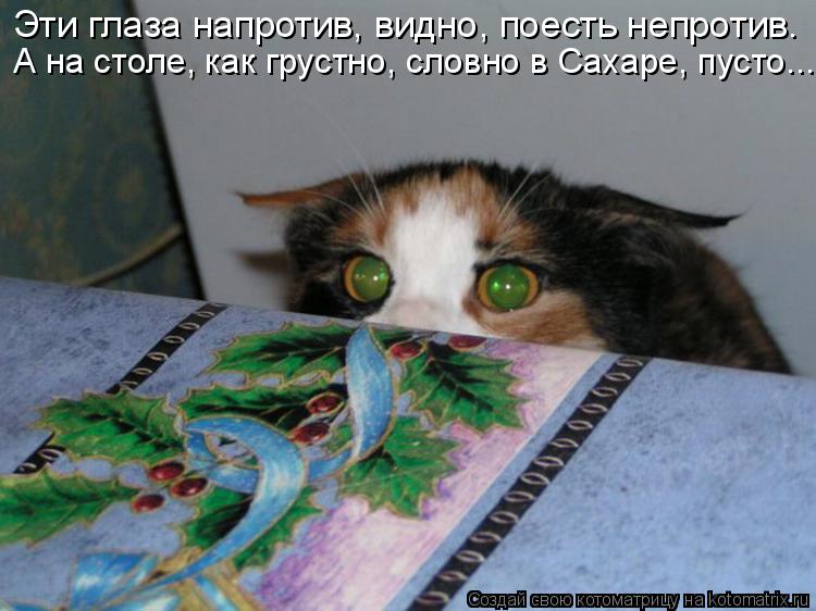 Котоматрица: Эти глаза напротив, видно, поесть непротив. А на столе, как грустно, словно в Сахаре, пусто...