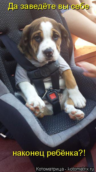 Да заведёте вы себе наконец ребёнка?!... Котоматрица: Да заведёте вы себе наконец ребёнка?!