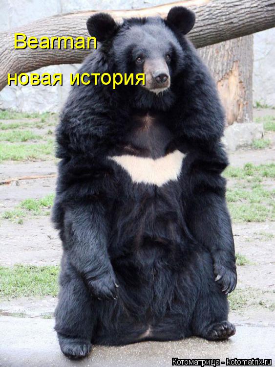 Bearman новая история... Котоматрица: Bearman новая история