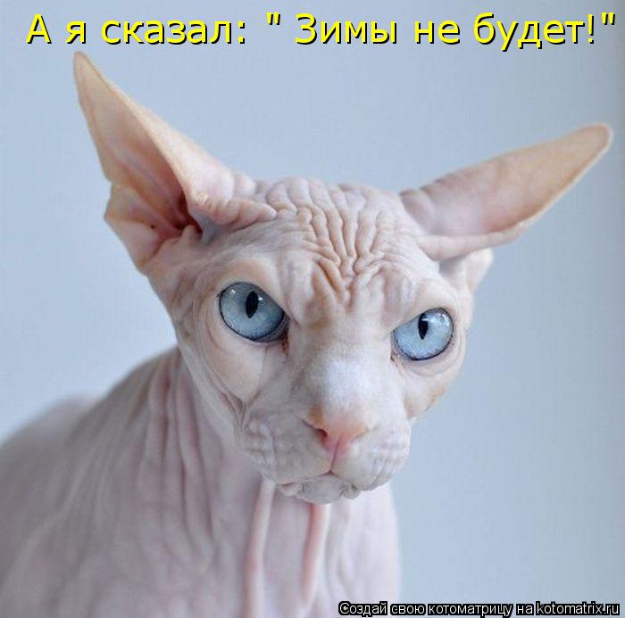А я сказал: " Зимы не будет!"... Котоматрица: А я сказал: " Зимы не будет!"