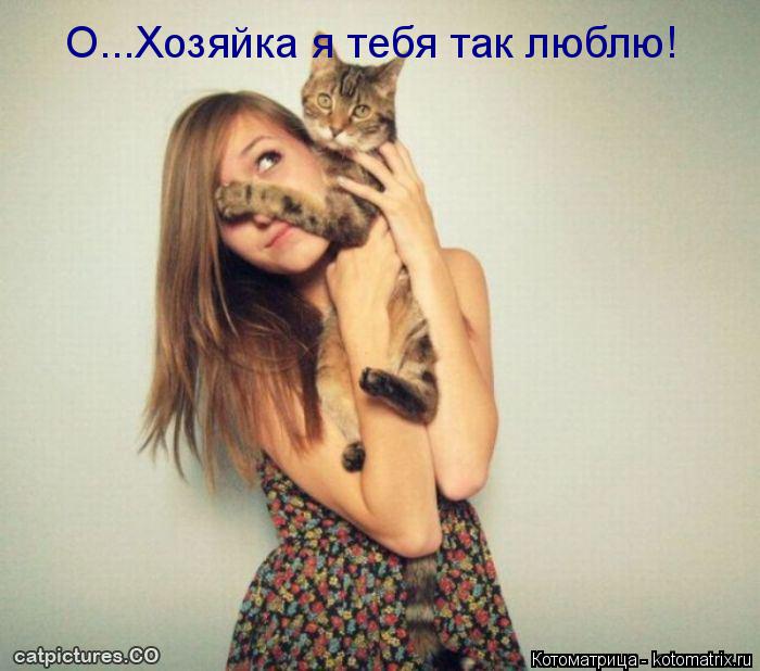 О...Хозяйка я тебя так люблю!... Котоматрица: О...Хозяйка я тебя так люблю!