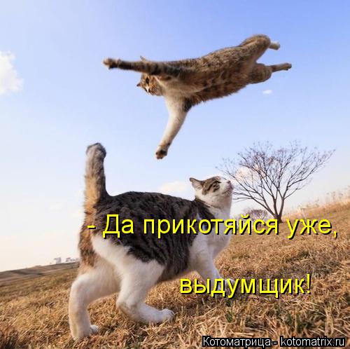 Котоматрица: - Да прикотяйся уже, выдумщик!