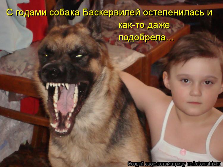 С годами собака Баскервилей остепенилась и как-то даже подобрела...... Котоматрица: С годами собака Баскервилей остепенилась и как-то даже подобрела...