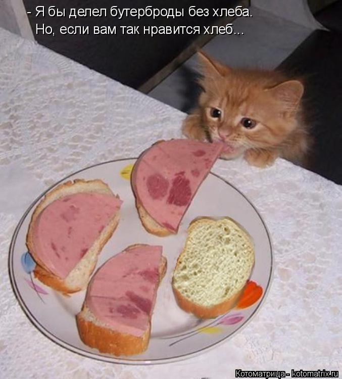 Котоматрица: - Я бы делел бутерброды без хлеба. Но, если вам так нравится хлеб...