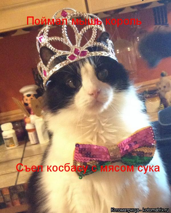 Поймал мышь король Поймал мышь король Съел косбасу с мясом сука... Котоматрица: Поймал мышь король Поймал мышь король Съел косбасу с мясом сука