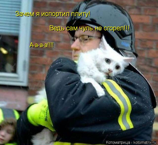 Зачем я испортил плиту! Ведь сам чуль не сгорел!!! А-а-а-а!!!!... Котоматрица: Зачем я испортил плиту! Ведь сам чуль не сгорел!!! А-а-а-а!!!!