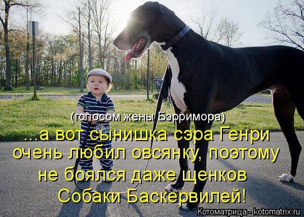 Котоматрица: очень любил овсянку, поэтому не боялся даже щенков (голосом жены Бэрримора) ...а вот сынишка сэра Генри Собаки Баскервилей!