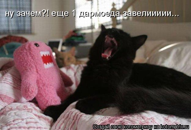 Котоматрица: ну зачем?! еще 1 дармоеда завелиииии...