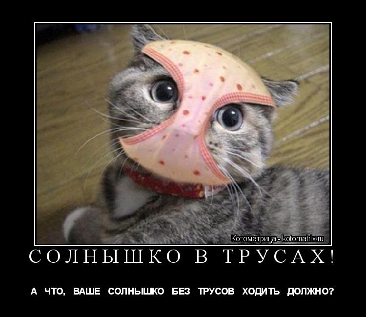 Котоматрица: СОЛНЫШКО В ТРУСАХ! А   ЧТО,   ВАШЕ   СОЛНЫШКО   БЕЗ   ТРУСОВ   ХОДИТЬ   ДОЛЖНО?