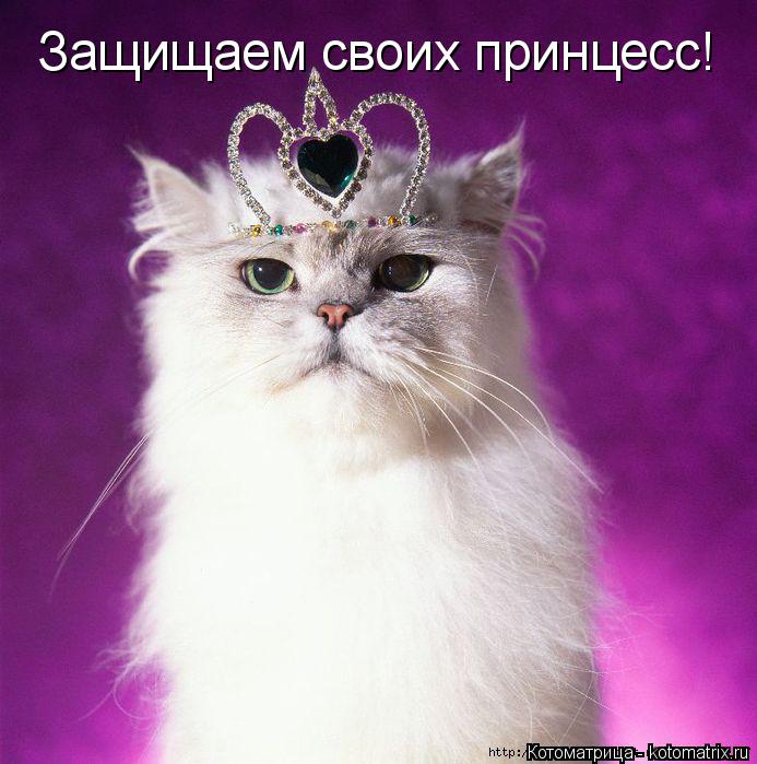 Котоматрица: Защищаем своих принцесс!