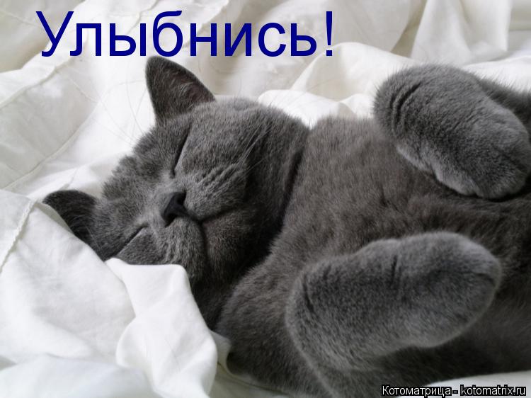 Котоматрица: Улыбнись!