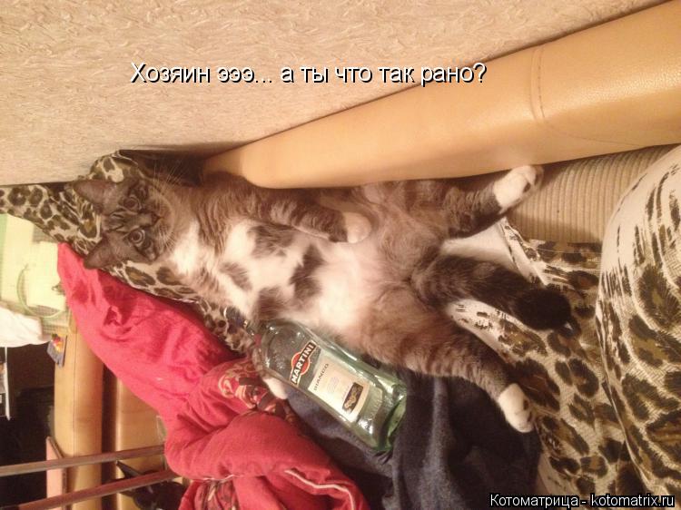 Котоматрица: Хозяин эээ... а ты что так рано?