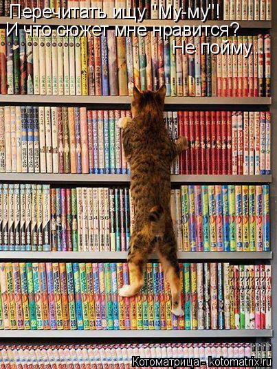 Котоматрица: Перечитать ищу "Му-му"! И что сюжет мне нравится? Не пойму...