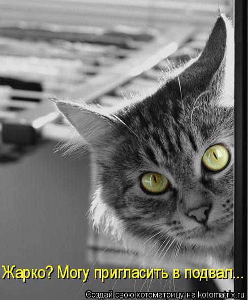 Котоматрица: Жарко? Могу пригласить в подвал...