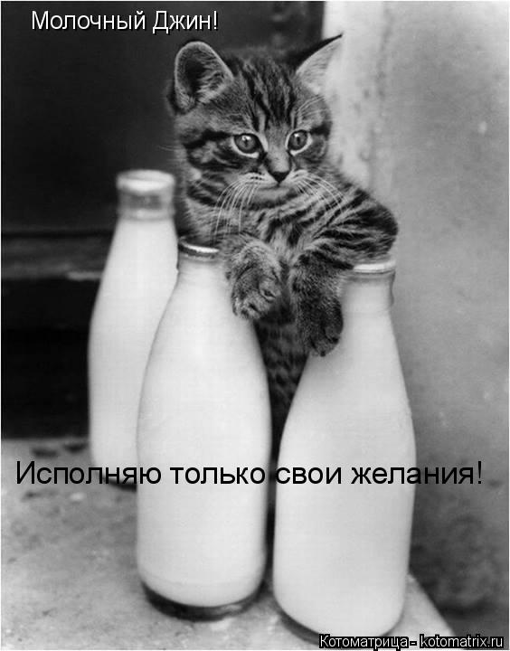 Котоматрица: Молочный Джин!  Исполняю только свои желания!