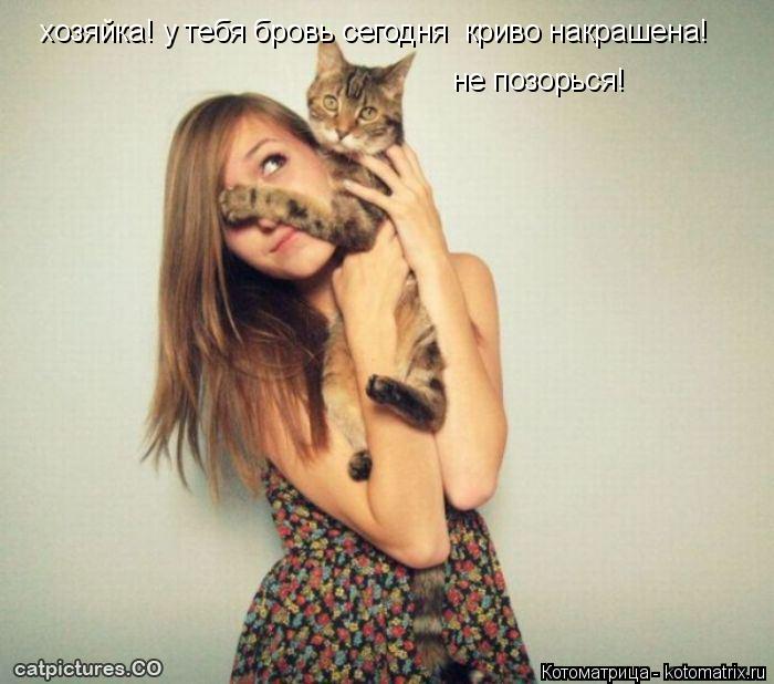 хозяйка! у тебя бровь сегодня криво накрашена! не позорься!... Котоматрица: хозяйка! у тебя бровь сегодня криво накрашена! не позорься!