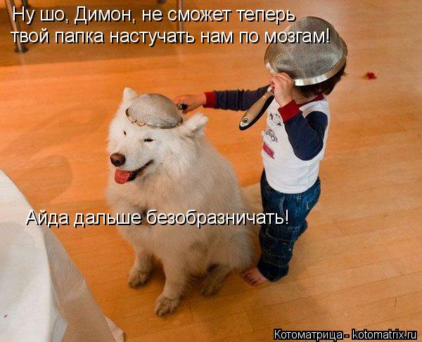 Котоматрица: Ну шо, Димон, не сможет теперь  твой папка настучать нам по мозгам! Айда дальше безобразничать!