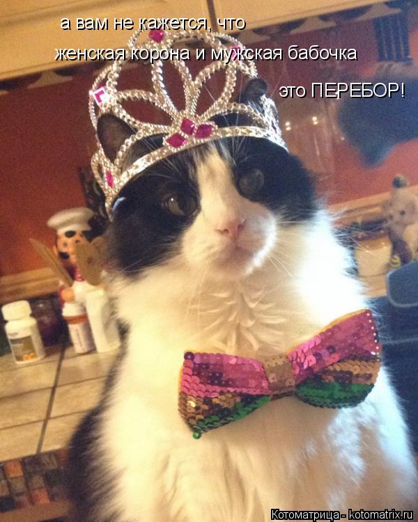 Котоматрица: а вам не кажется, что женская корона и мужская бабочка это ПЕРЕБОР!