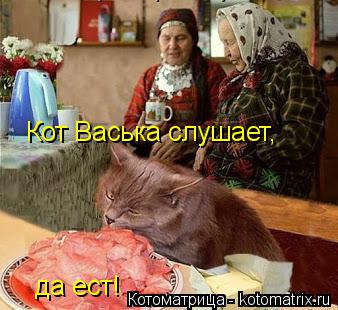 Котоматрица: Кот Васька слушает, да ест!