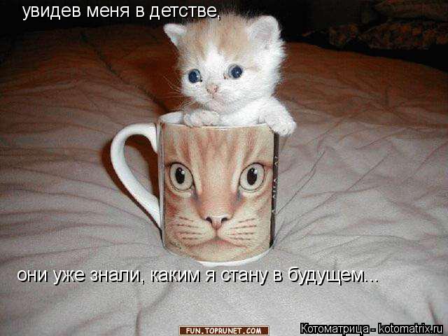 Котоматрица: увидев меня в детстве, они уже знали, каким я стану в будущем...