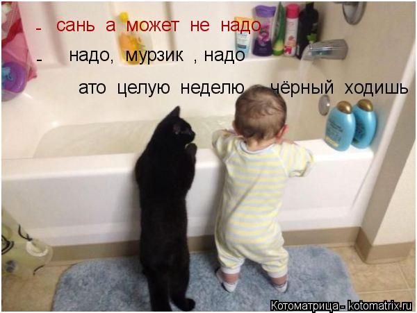 Котоматрица: сань  а  может  не  надо - - надо,  мурзик  , надо ато  целую  неделю     чёрный  ходишь