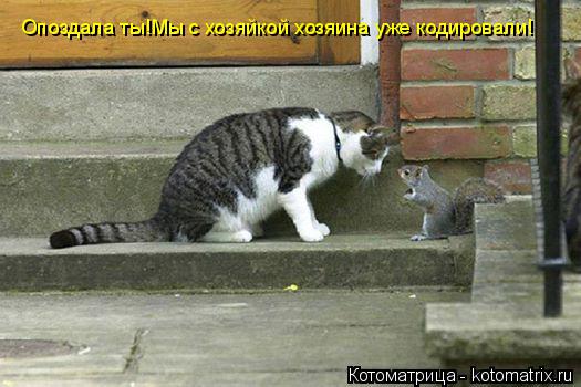 Котоматрица: Опоздала ты!Мы с хозяйкой хозяина уже кодировали!