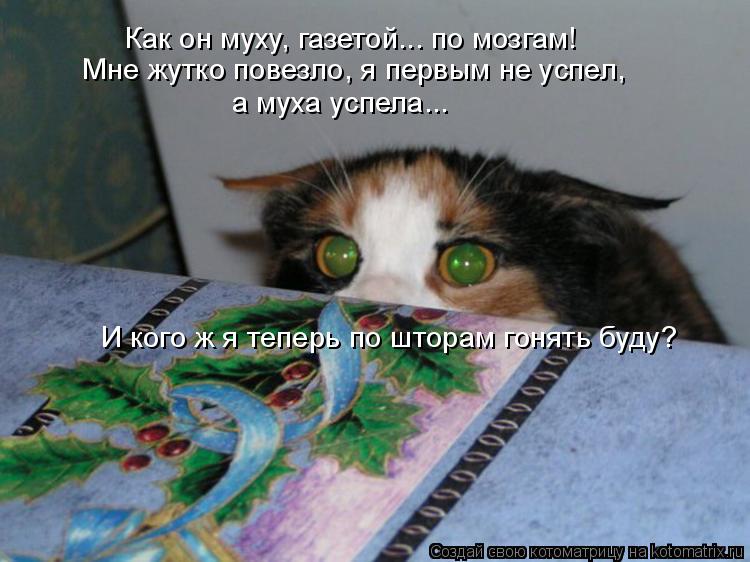 Котоматрица: Как он муху, газетой... по мозгам! Мне жутко повезло, я первым не успел,  а муха успела... И кого ж я теперь по шторам гонять буду?