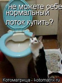 Котоматрица: не можете себе нормальный  лоток купить?