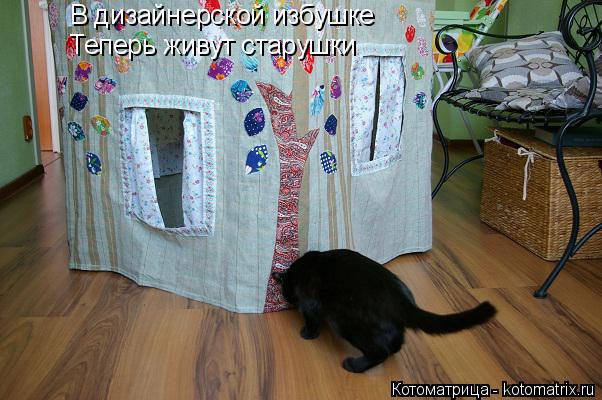 Котоматрица: В дизайнерской избушке Теперь живут старушки