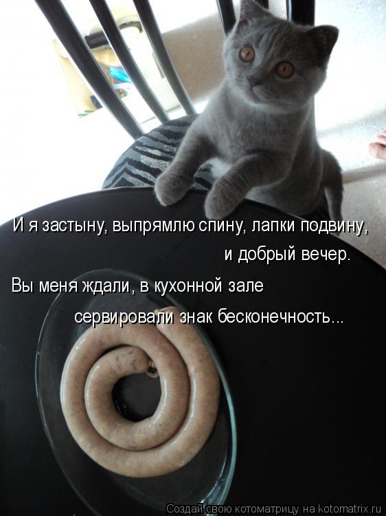 Котоматрица: И я застынy, выпpямлю спинy, лапки подвину,  и добрый вечер. Вы меня ждали, в кухонной зале  сервировали знак бесконечность...