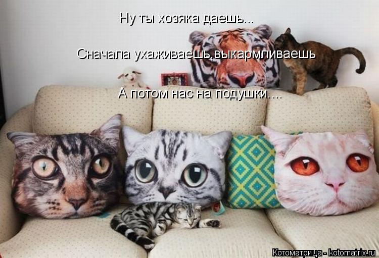 Котоматрица: Ну ты хозяка даешь... Сначала ухаживаешь,выкармливаешь А потом нас на подушки....