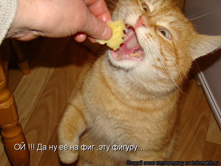ОЙ !!! Да ну её на фиг ,эту фигуру....... Котоматрица: ОЙ !!! Да ну её на фиг ,эту фигуру....
