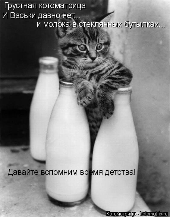 Котоматрица: Грустная котоматрица И Васьки давно нет... И Васьки давно нет... и молока в стеклянных бутылках... Давайте вспомним время детства!