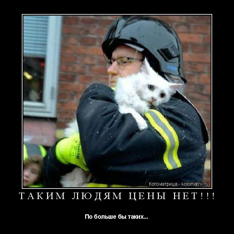 Котоматрица: ТАКИМ ЛЮДЯМ ЦЕНЫ НЕТ!!! По больше бы таких...