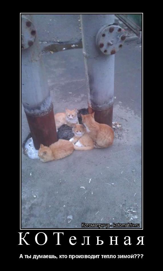 Котоматрица: КОТельная А ты думаешь, кто производит тепло зимой???