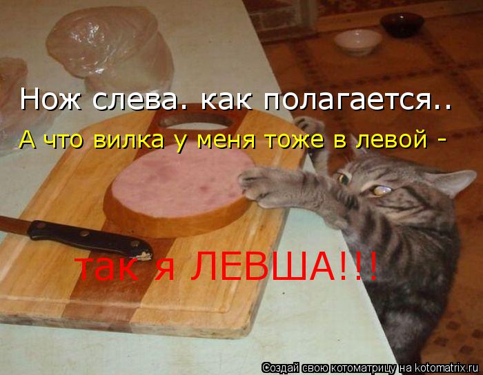 Нож слева. как полагается.. А что вилка у меня тоже в левой - так я ЛЕВША!!!... Котоматрица: Нож слева. как полагается.. А что вилка у меня тоже в левой - так я ЛЕВША!!!