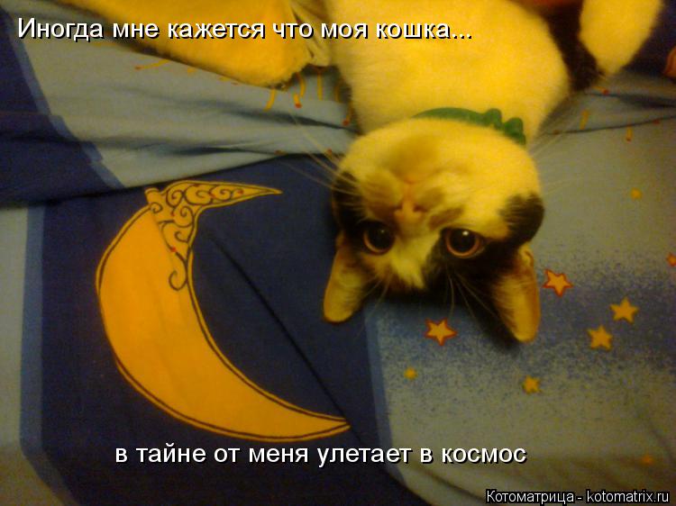 Котоматрица: Иногда мне кажется что моя кошка... в тайне от меня улетает в космос
