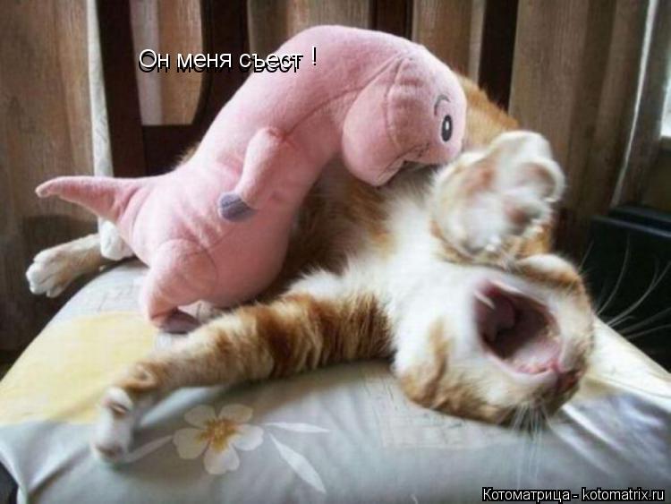 Котоматрица: Он меня съест Он меня съест !