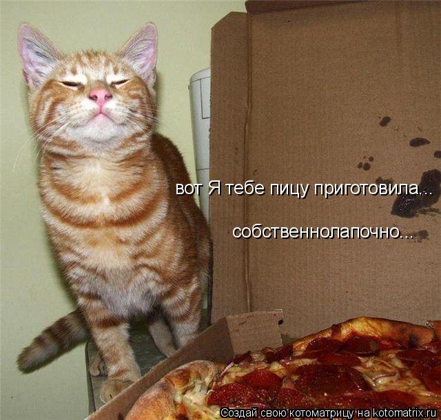 Котоматрица: вот Я тебе пицу приготовила... собственнолапочно...