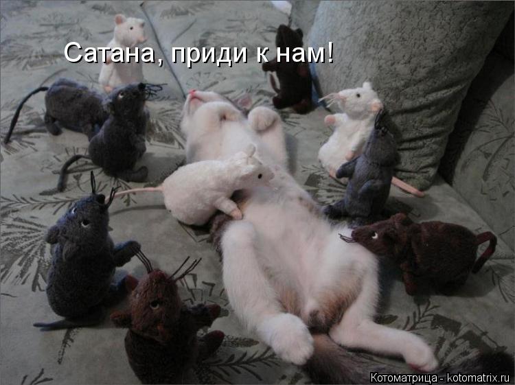 Котоматрица: Сатана, приди к нам!