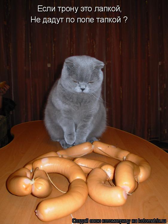 Котоматрица: Если трону это лапкой, Не дадут по попе тапкой ?